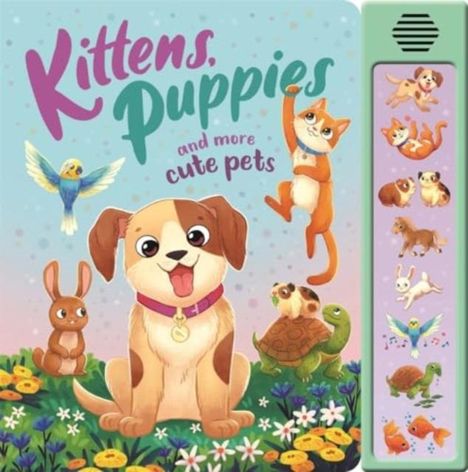 Igloo Books Ltd: Kittens, Puppies and More Cute Pets, Buch