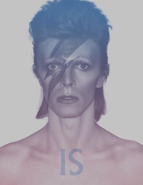 David Bowie Is, Buch