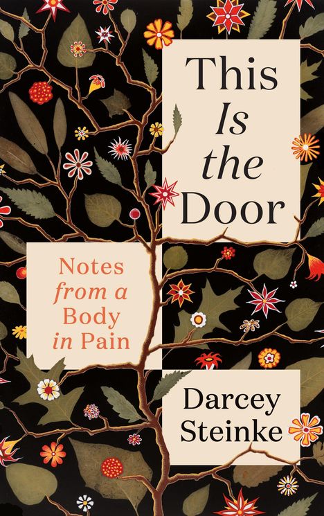 Darcey Steinke: This Is the Door, Buch
