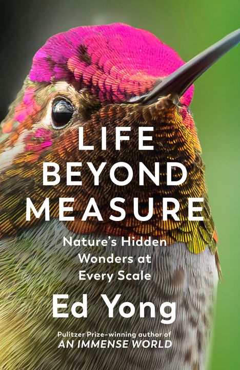 „LIFE BEYOND MEASURE: Nature’s Hidden Wonders at Every Scale“, Ed Yong. Nahaufnahme eines Kolibris mit bunt schillerndem Gefieder.