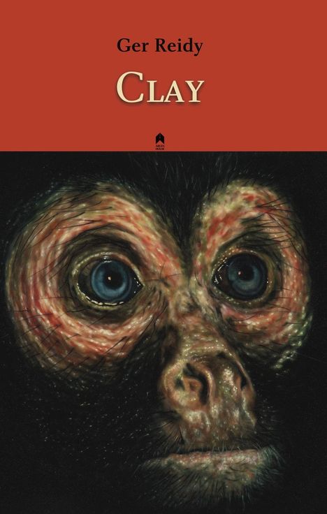 Ger Reidy: Clay, Buch