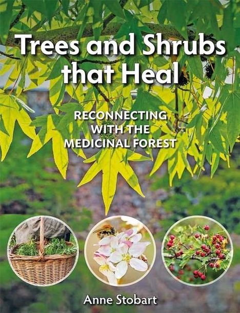 Anne Stobart: Trees and Shrubs that Heal, Buch