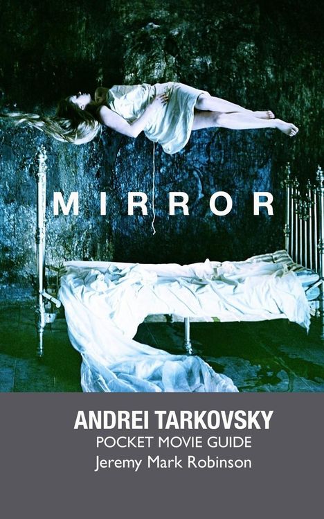 Jeremy Mark Robinson: Mirror, Buch