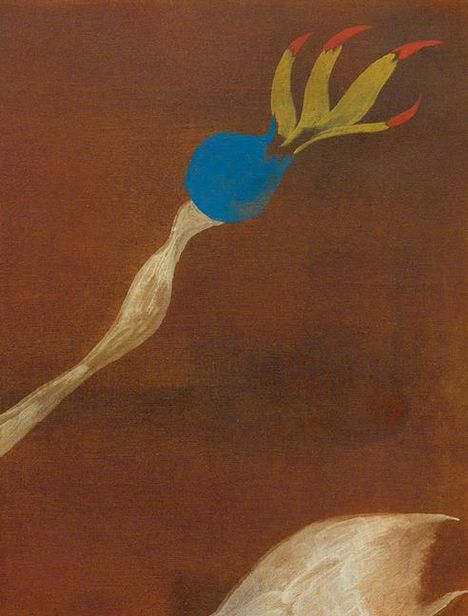 Joan Miró Feet on the Ground, Eyes on the Stars, Buch