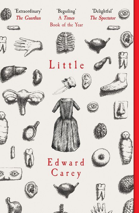 Edward Carey: Little, Buch