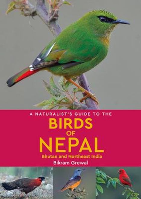 "A Naturalist's Guide to the Birds of Nepal" von Bikram Grewal. Oben ein Vogel auf Zweig, unten Bilder anderer Vögel.