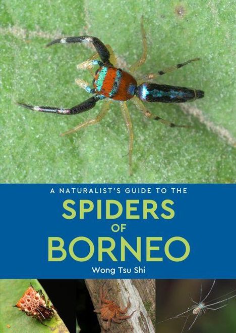 „A Naturalist’s Guide to the Spiders of Borneo“ von Wong Tsu Shi. Oben ein Detailfoto einer bunten Spinne auf einem Blatt. Unten zwei weitere Spinnenfotos.