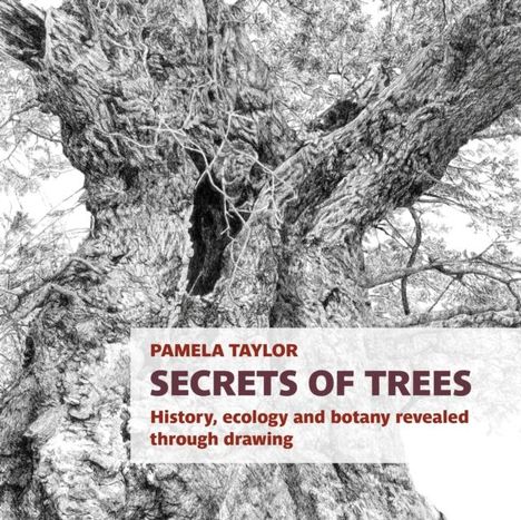 Pamela Taylor: Secrets of Trees, Buch