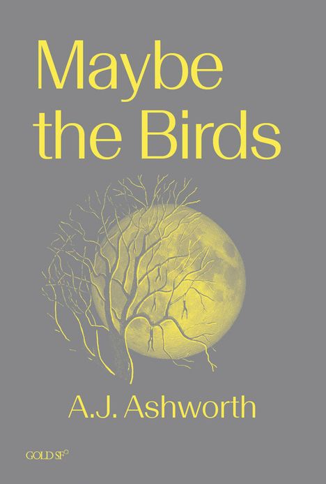 A J Ashworth: Maybe the Birds, Buch