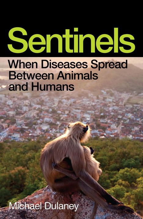„Sentinels: When Diseases Spread Between Animals and Humans“. Zwei Affen sitzen auf einem Felsen und blicken auf eine Stadt.