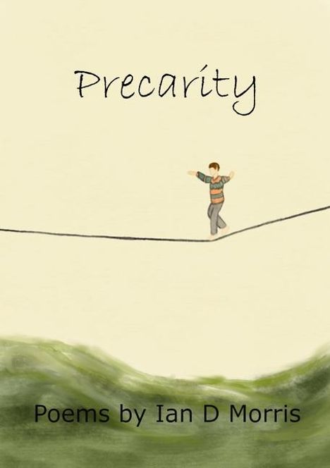 Ian D Morris: Precarity, Buch