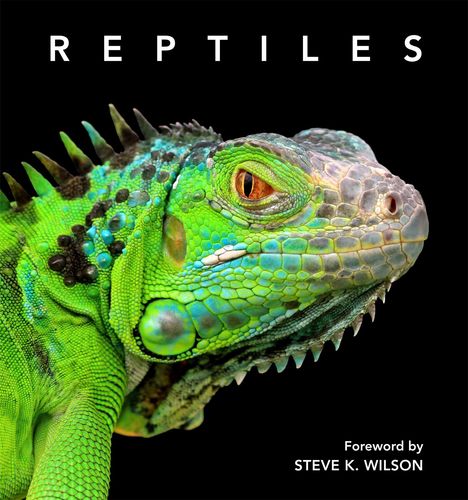 Steve Wilson (geb. 1961): Reptiles, Buch