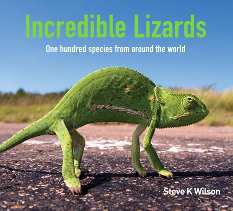 Steve Wilson (geb. 1961): Incredible Lizards, Buch