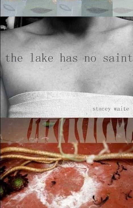 Stacey Waite: The lake has no saint, Buch