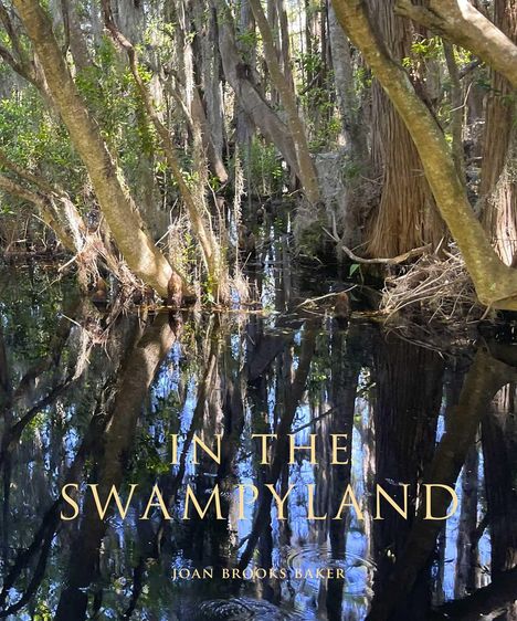 Joan Brooks Baker: In the Swampyland, Buch