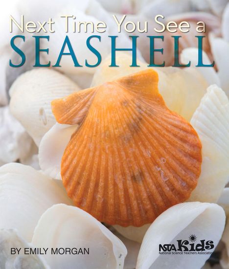 Emily Morgan: Next Time You See a Seashell, Buch