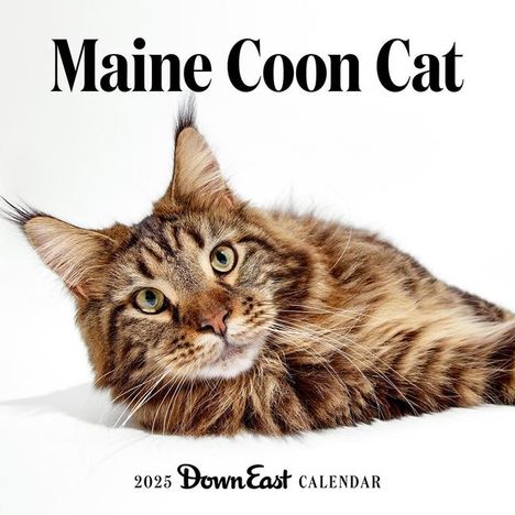 Down East Magazine: 2025 Maine Coon Cat Wall Calendar, Kalender