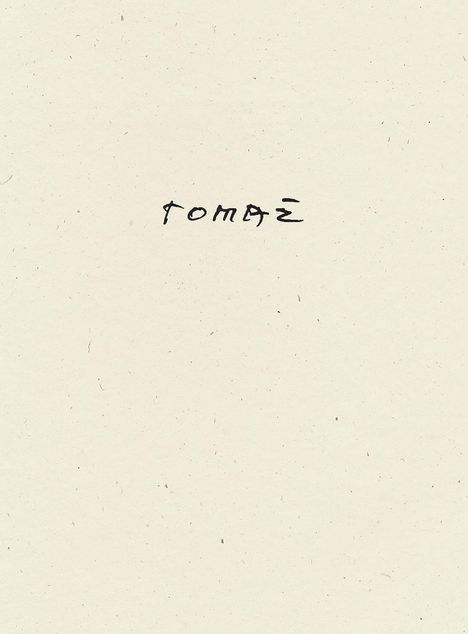 Tomaz Salamun: Tomaz, Buch