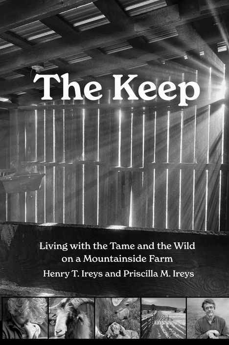 Henry T Ireys: The Keep, Buch