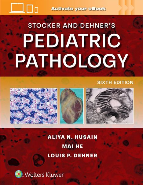 Text: "STOCKER AND DEHNER’S PEDIATRIC PATHOLOGY, SIXTH EDITION, ALIYA N. HUSAIN, MAI HE, LOUIS P. DEHNER." Drei Gewebebilder.