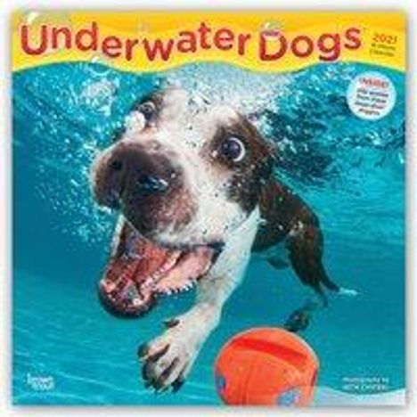 Underwater Dogs - Hunde unter Wasser 2021 - 18-Monatskalender, Kalender