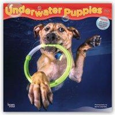 Browntrout: Underwater Puppies 2021 Square, Diverse