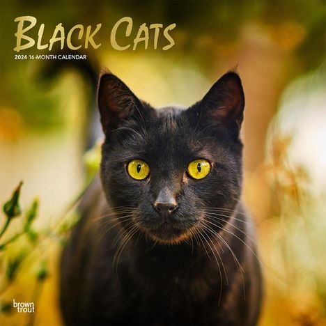 Black Cats 2024 Square Foil, Kalender