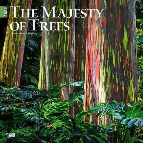 Majesty of Trees, the 2024 Square, Kalender