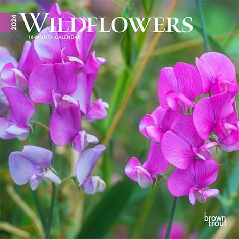 Wildflowers 2024 Mini 7x7, Buch