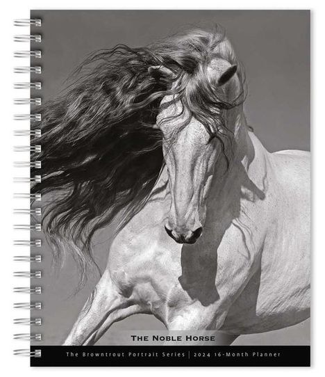 Horse, the Noble, the Browntrout Portrait Series 2024 Engagement, Kalender