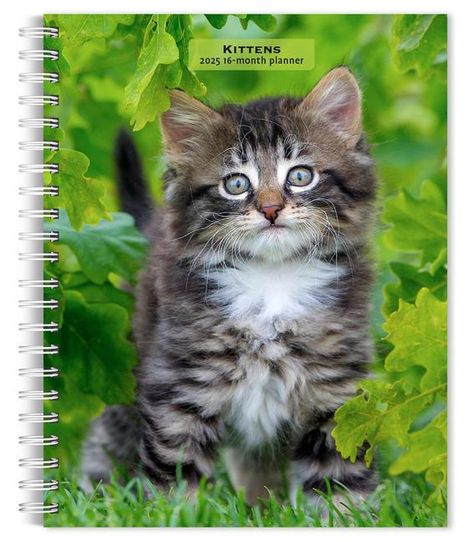 Browntrout: Kittens 2025 6 X 7.75 Inch Spiral-Bound Wire-O Weekly Engagement Planner Calendar New Full-Color Image Every Week, Kalender