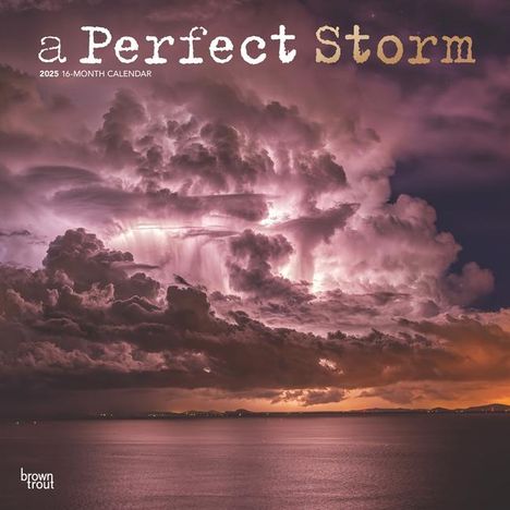 Browntrout: A Perfect Storm 2025 12 X 24 Inch Monthly Square Wall Calendar Foil Stamped Cover Plastic-Free, Kalender