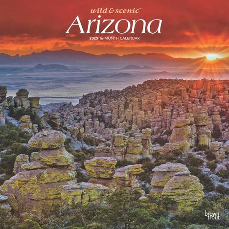 Browntrout: Arizona Wild &amp; Scenic 2025 12 X 24 Inch Monthly Square Wall Calendar Plastic-Free, Kalender