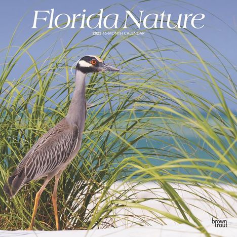 Browntrout: Florida Nature 2025 12 X 24 Inch Monthly Square Wall Calendar Plastic-Free, Kalender