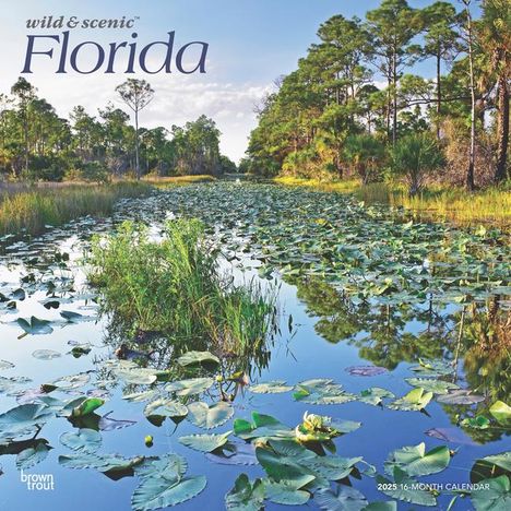 Browntrout: Florida Wild &amp; Scenic 2025 12 X 24 Inch Monthly Square Wall Calendar Plastic-Free, Kalender