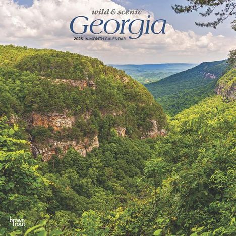 Browntrout: Georgia Wild &amp; Scenic 2025 12 X 24 Inch Monthly Square Wall Calendar Plastic-Free, Kalender