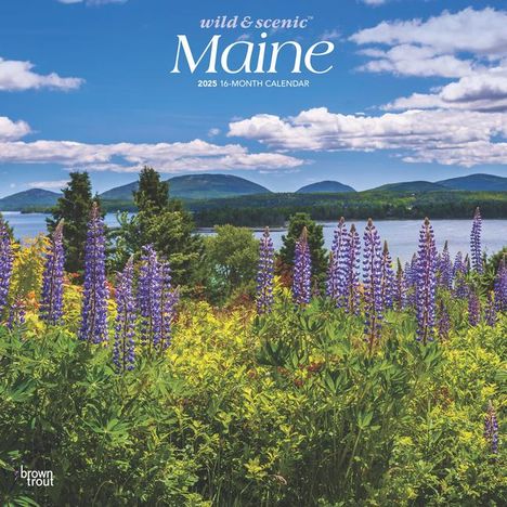 Browntrout: Maine Wild &amp; Scenic 2025 12 X 24 Inch Monthly Square Wall Calendar Plastic-Free, Kalender