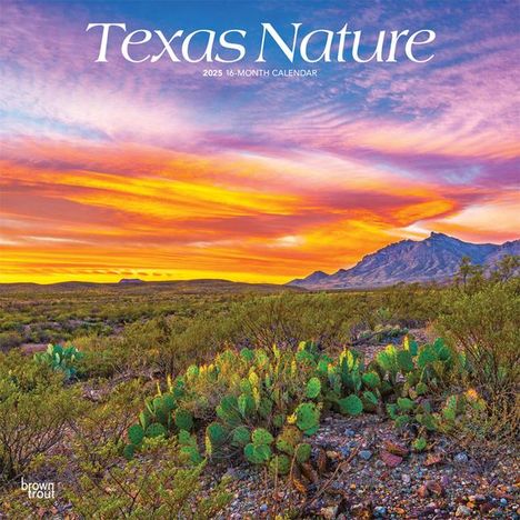 Browntrout: Texas Nature 2025 12 X 24 Inch Monthly Square Wall Calendar Plastic-Free, Kalender