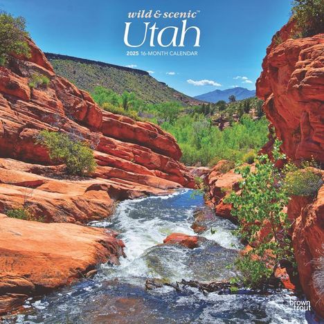 Browntrout: Utah Wild &amp; Scenic 2025 12 X 24 Inch Monthly Square Wall Calendar Plastic-Free, Kalender