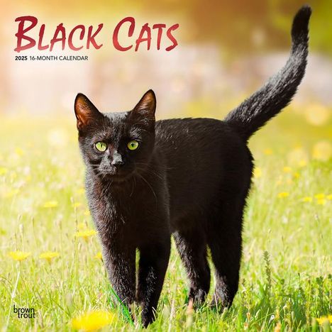 Browntrout: Black Cats 2025 12 X 24 Inch Monthly Square Wall Calendar Foil Stamped Cover Plastic-Free, Kalender