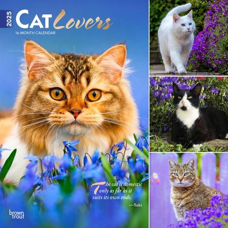 Browntrout: Cat Lovers 2025 12 X 24 Inch Monthly Square Wall Calendar Foil Stamped Cover Plastic-Free, Kalender