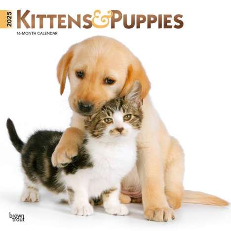 Browntrout: Kittens &amp; Puppies 2025 12 X 24 Inch Monthly Square Wall Calendar Foil Stamped Cover Plastic-Free, Kalender