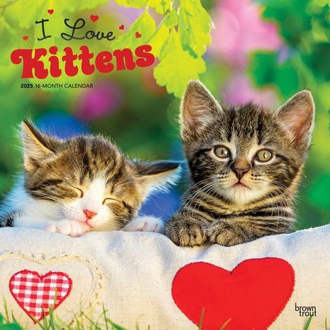 Browntrout: I Love Kittens 2025 12 X 24 Inch Monthly Square Wall Calendar Plastic-Free, Kalender