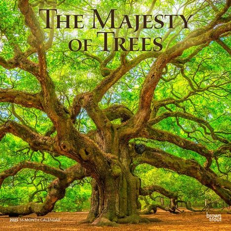 Browntrout: The Majesty of Trees 2025 12 X 24 Inch Monthly Square Wall Calendar Plastic-Free, Kalender