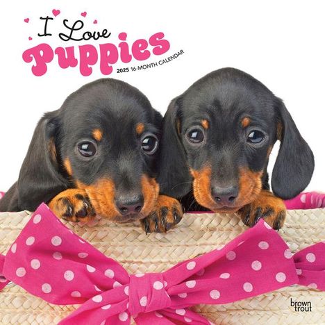 Browntrout: I Love Puppies 2025 12 X 24 Inch Monthly Square Wall Calendar Plastic-Free, Kalender
