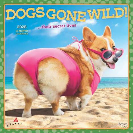 Browntrout: Avanti Dogs Gone Wild Official 2025 12 X 24 Inch Monthly Square Wall Calendar Plastic-Free, Kalender