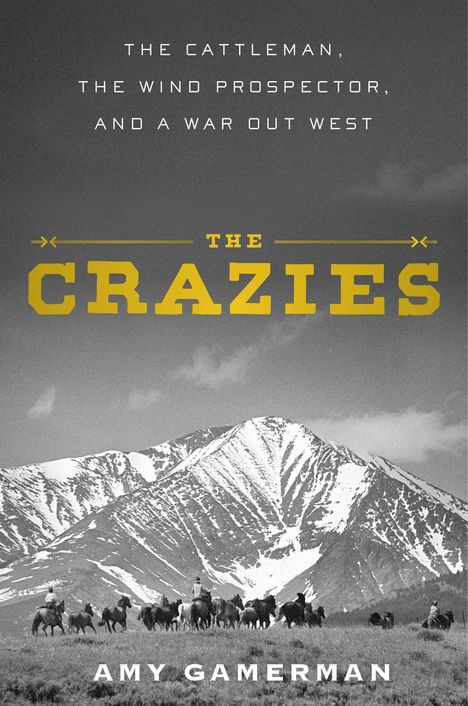 Amy Gamerman: The Crazies, Buch