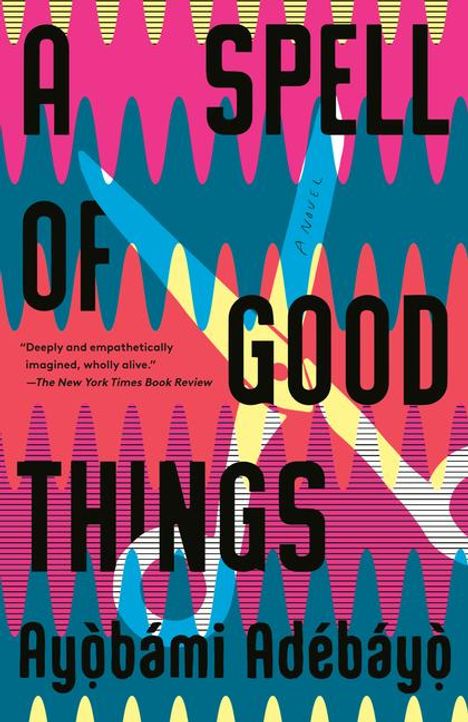 Ayobami Adebayo: A Spell of Good Things, Buch