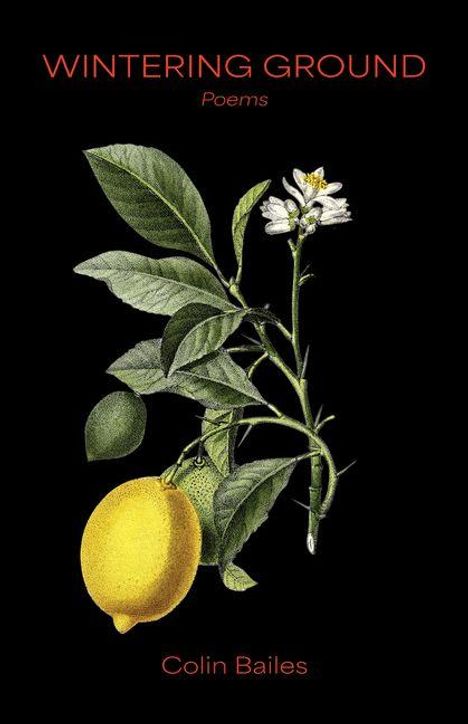 "WINTERING GROUND. Poems. Colin Bailes." Illustration einer Zitruspflanze mit Blüten und Zitronen vor schwarzem Hintergrund.