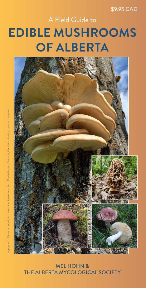 Buchcover mit Titel "A Field Guide to Edible Mushrooms of Alberta" und Bildern von Pilzen an einem Baumstamm. Preis $9.95 CAD.